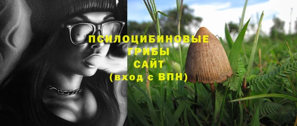 эйфоретик Кинешма