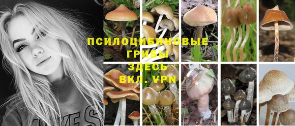 прущие крисы Киреевск